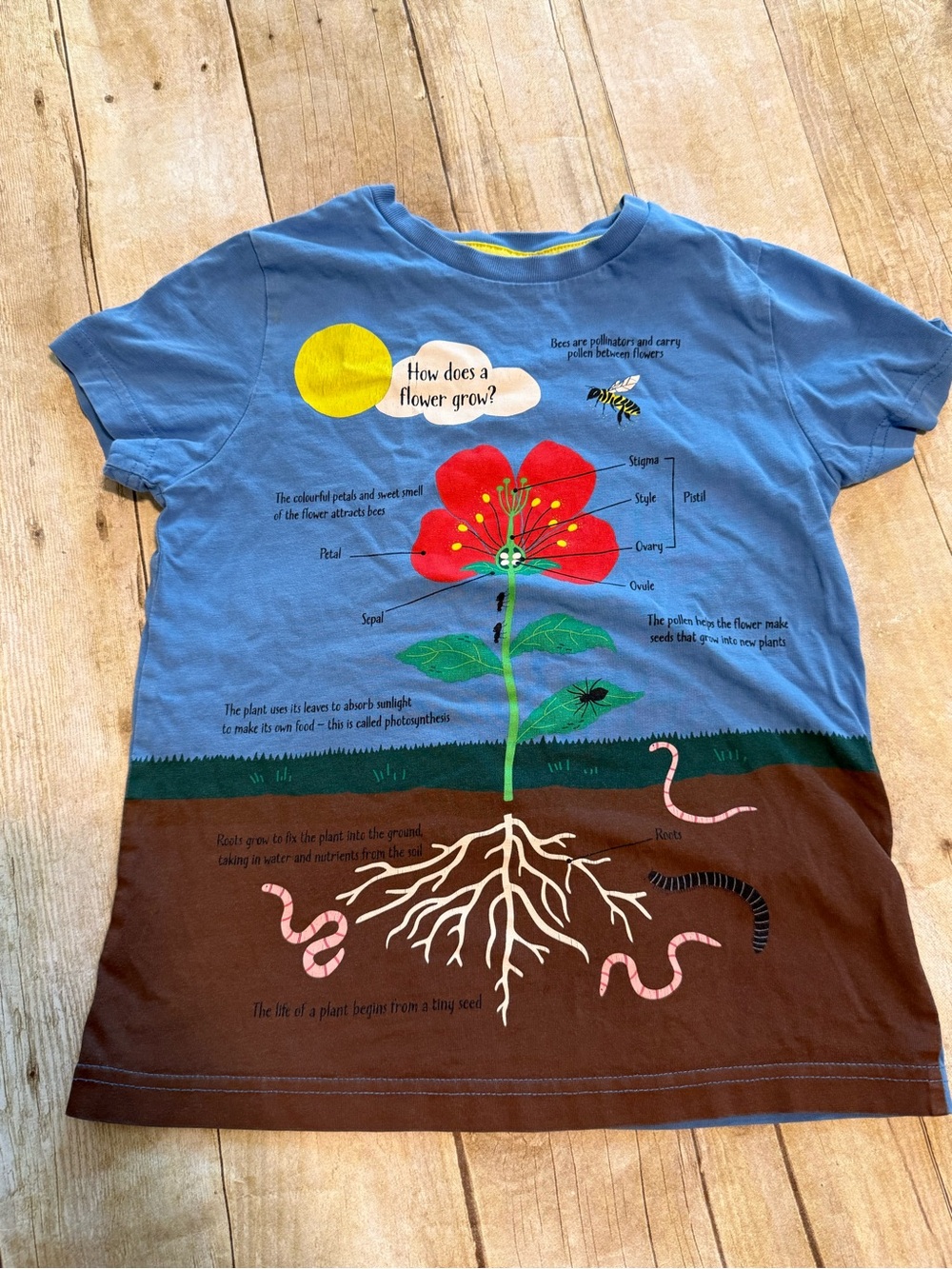 Mini Boden Flower Anatomy Shirt - Size 7/8